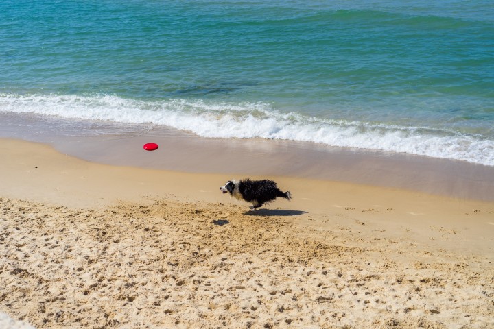 Listing 26 Grunge Style Studio + 100m> Beach! 24 Loginn Autonomous Hotels