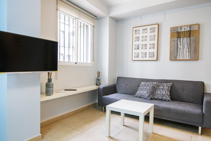 1T Lovely and modern apartment in Downtown 16 VLC Host