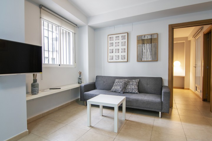 1T Lovely and modern apartment in Downtown 17 VLC Host