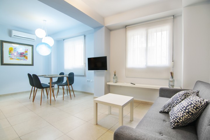 1T Lovely and modern apartment in Downtown 18 VLC Host