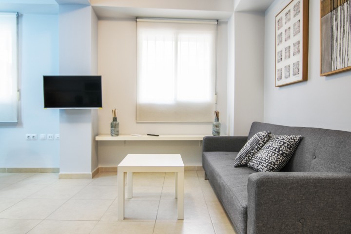 1T Lovely and modern apartment in Downtown 19 VLC Host