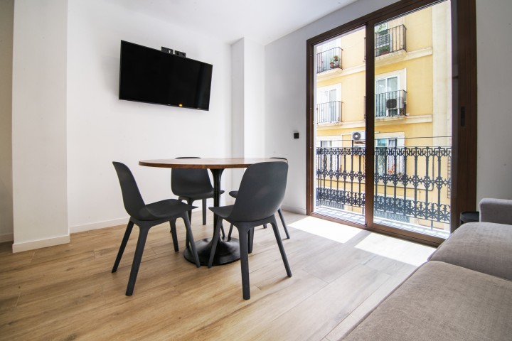 One bedroom apartment in the heart of the city 5 VLC Host